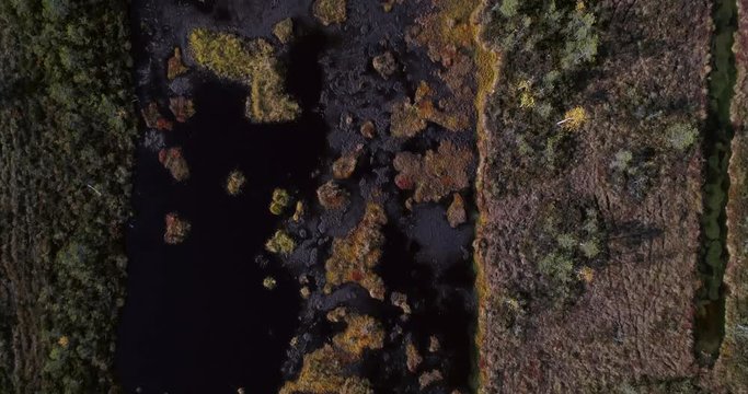 Swamp, Cinema 4k aerial tilt view over a wet forest bog, on a sunny autumn day, in Raasepori, Uusimaa, Finland