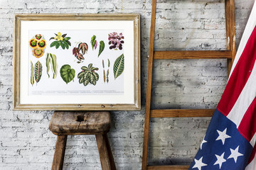 Picture go hand drawing flowers collection in a frame