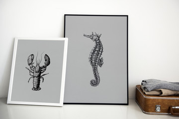 Hand drawing seahorse picture in photo frame
