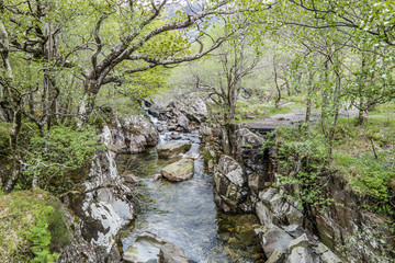 Naklejka na ściany i meble Forest and river close to Ben Nevis, Scotland