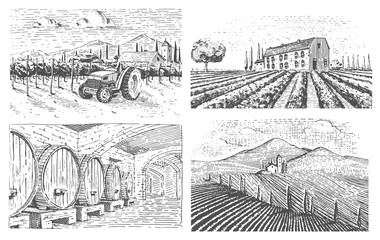 vineyards landscape, tuscany fields, old looking scratchboard or tattoo style for menus and signage in the bar. engraved hand drawn in old sketch, vintage style for label or T-shirt.