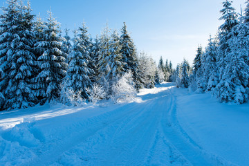 Obraz premium beautiful winter landscape on a sunny day