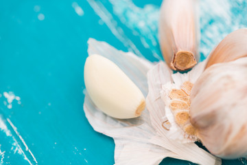 Garlic on green wood background