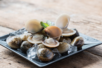 Fresh enamel venus shell edible saltwater clams © teen00000