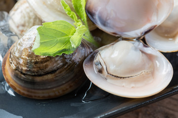 Fresh enamel venus shell edible saltwater clams