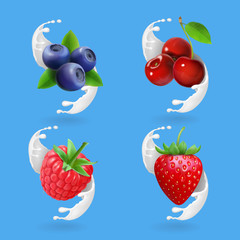 Berries and yogurt. Cherry, blueberry, strawberry and raspberry ain milk splash Realistic illustration