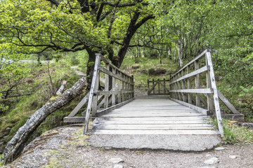 Obraz premium Bridge over the River Nevis, Scotland
