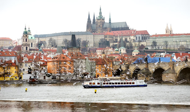 Prague, Czech Republic - view of the Castle and birds flying over Vltava river
