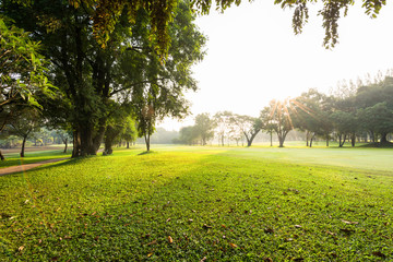 Scenery green golf  and meadow in morning