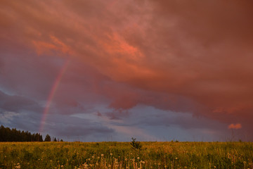 Fototapeta na wymiar Rainbow in summer in the field