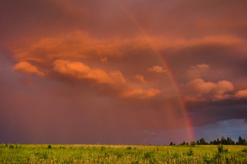 Rainbow in summer in the field
