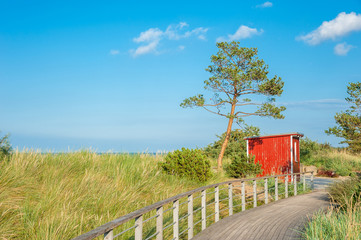 Dünenlandschaft zwischen Strand und Strandpromenade in Niendorf