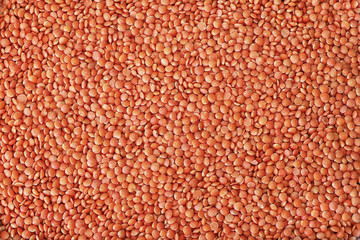 Lentils seed background.