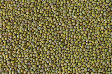 Mung beans background.