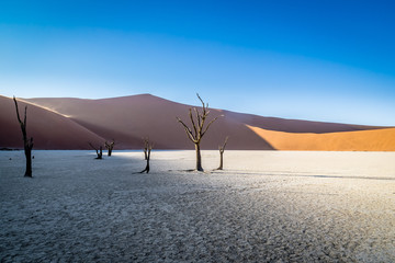 Deadvlei, Sossusvlei, Namibia