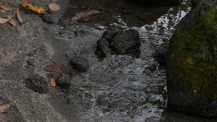 洞爺湖湖畔　小石のある風景