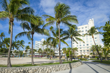 View of palm trees in Lummus Park with backdrop of art-deco Ocean Drive in South Beach, Miami