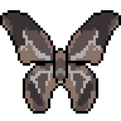 vector pixel art butterfly