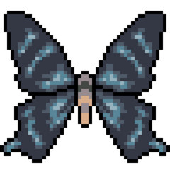 vector pixel art butterfly