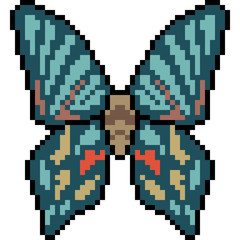 vector pixel art butterfly