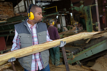 Man holding length of wood in saw mill © auremar