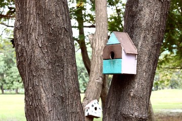 colorful bird house