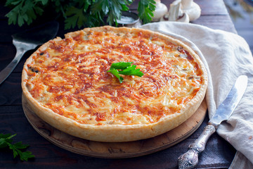Homemade snack pie with chicken and cheese, horizontal