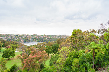 View on suburban sprawl from the park