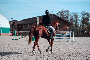 Young pretty girl riding a horse