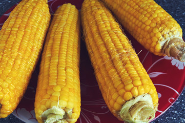 Boiled corn on a plate