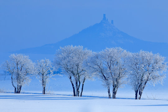 Winter scene with snow and trees. Hazmburk gothic castle on rocky mountain, hill landscape in Ceske Stredohori, Czech republic. Cold nature with ruin on top of the hill. Rime blue white trees.