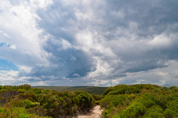 Fototapeta na wymiar Hiking path in bushland with storm clouds in the sky