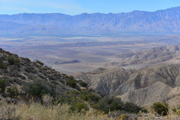Naklejka premium Keys view at The Joshua Tree National park