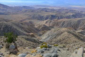 Keys view at The Joshua Tree National park