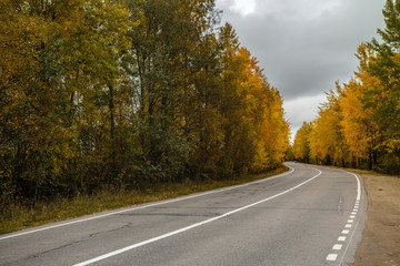Rural autumn road in Leningrad Region, Russia
