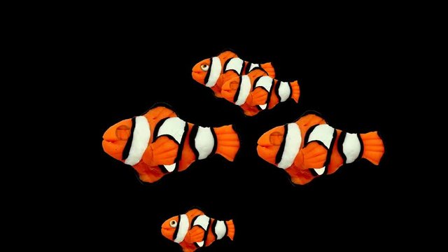 Nemo clown tropical fish 3D video animation cartoon