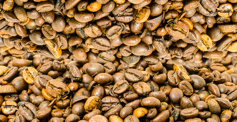 Roasted coffee beans