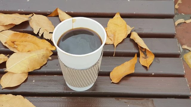 Coffee to takeaway. Coffee to go on bench with yellow leaves in the autumn park. 4k video.