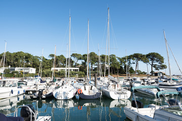 Fototapeta na wymiar CAP FERRET (Bassin d'Arcachon, France), port de La Vigne