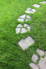 Step garden walkway of flagstone on the mown lawn in the autumn garden