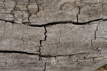 structure of an old wooden surface