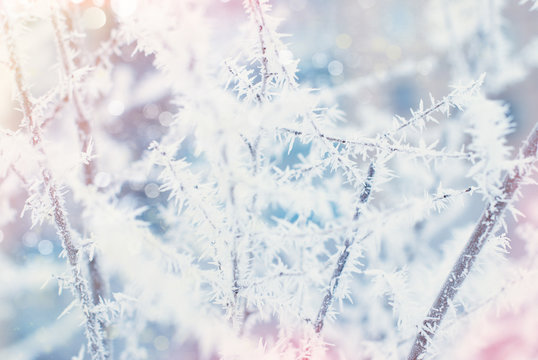 Winter Abstract Background - Frosty Snowy White Background with Bokeh and Sparke