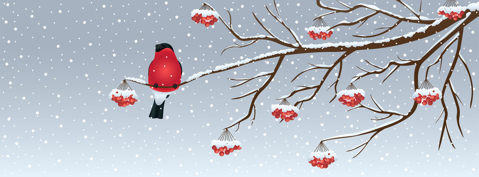 Snowy Christmas background with a bird and rowan tree branch. Vector illustration.