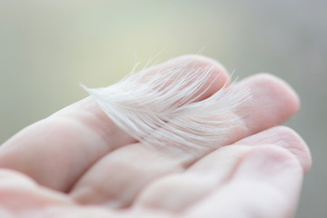 White feather in a hand