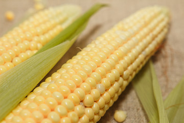 Початки кукурузы сочной и сладкой!