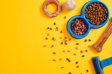 Pet accessories, food, toy. Top view