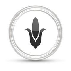 Weißer Button - Maiskolben