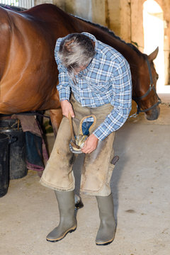 farrier at work on horses hoof