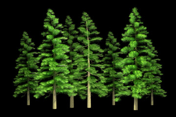 Beautiful christmas trees isolated on a black background. 3d illustration