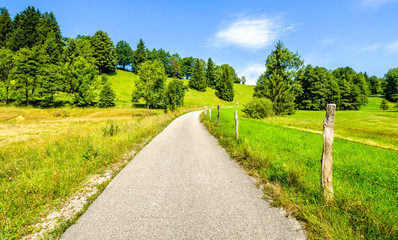 Obraz premium country road